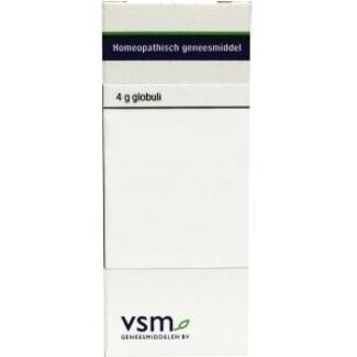 VSM Magnesium muriaticum LM3 4 Gram