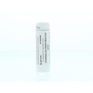 Homeoden Heel Homeoden Heel Hypericum perforatum 12CH 6 Gram
