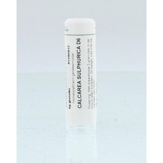 Homeoden Heel Calcarea sulphurica D6 6 Gram