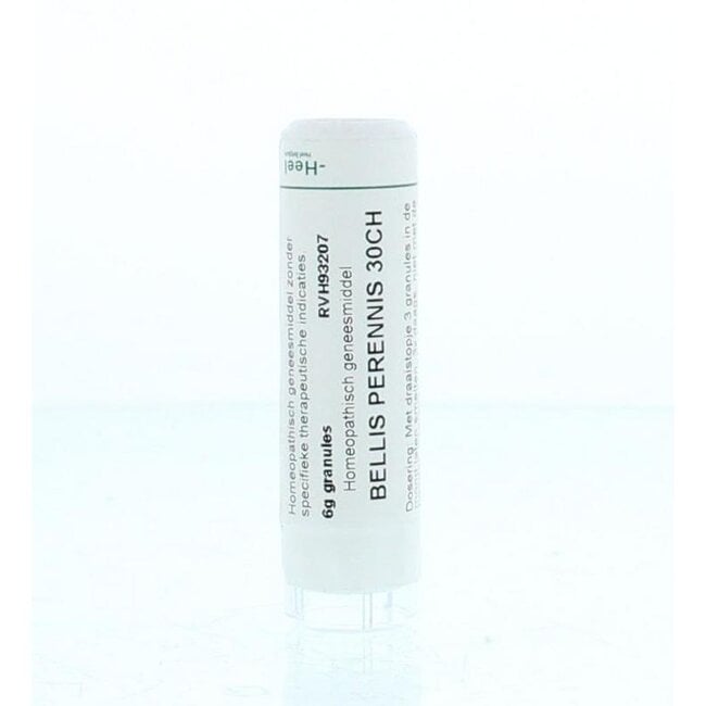 Bellis perennis 30CH 6 Gram