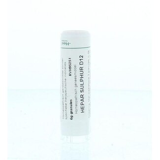 Homeoden Heel Hepar sulphur D12 6 Gram