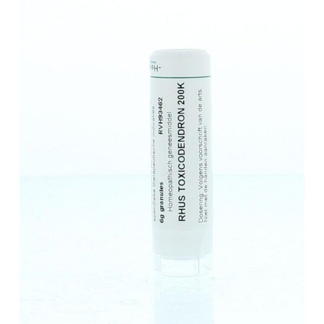 Rhus toxicodendron 200K 6 Gram