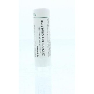 Homeoden Heel Zingiber officinalis D30 6 Gram