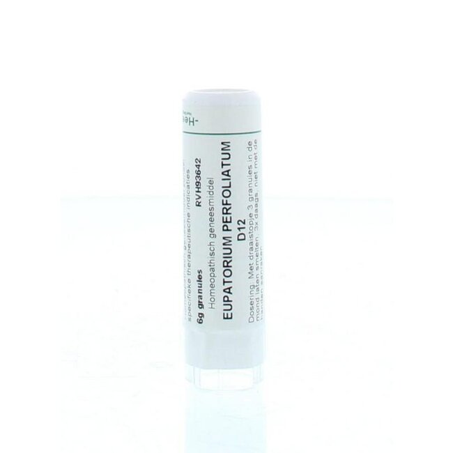 Eupatorium perfoliatum D12 6 Gram