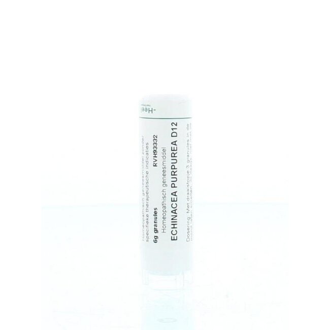 Echinacea purpurea D12 6 Gram