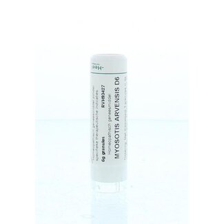 Homeoden Heel Myosotis arvensis D6 6 Gram