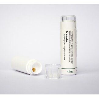 Homeoden Heel Hypericum perforatum 12K 6 Gram