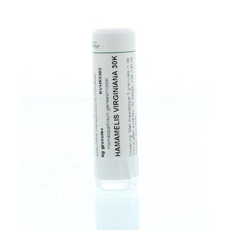 Homeoden Heel Hamamelis virginiana 30K 6 Gram