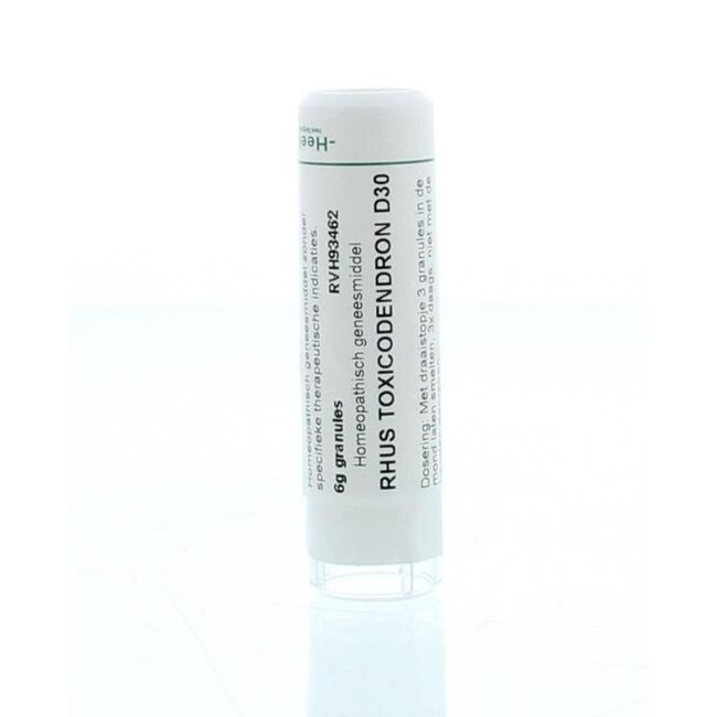 Rhus toxicodendron D30 6 Gram