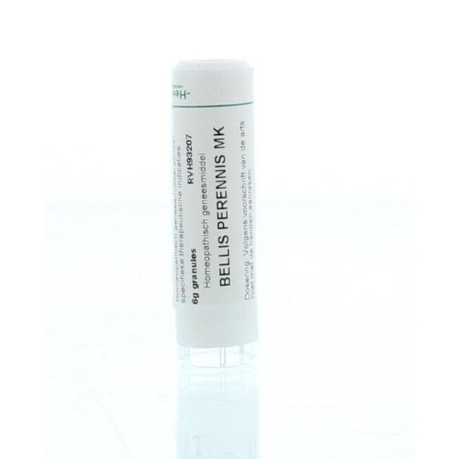 Bellis perennis MK 6 Gram