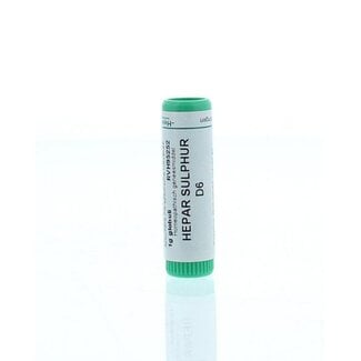 Homeoden Heel Hepar sulphur D6 1 Gram