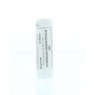 Homeoden Heel Echinacea angustifolia 30K 6 Gram