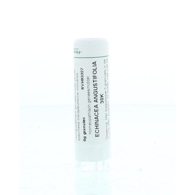 Echinacea angustifolia 30K 6 Gram
