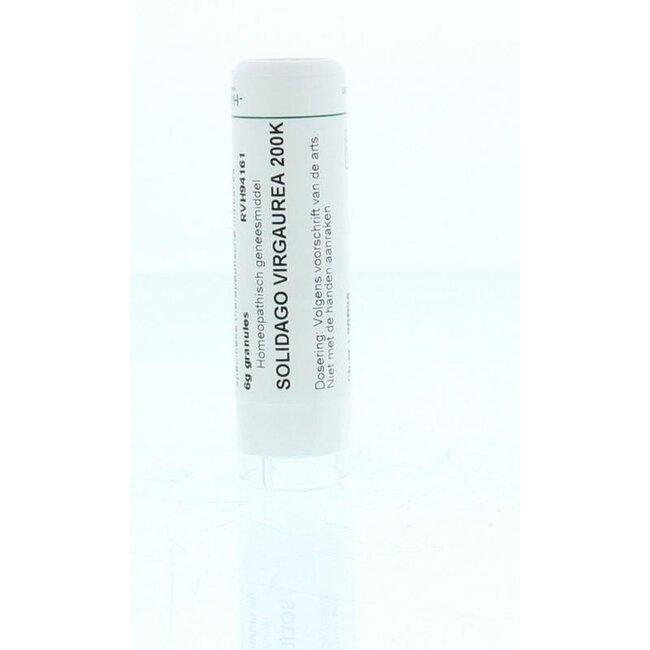 Solidago virgaurea 200K 6 Gram
