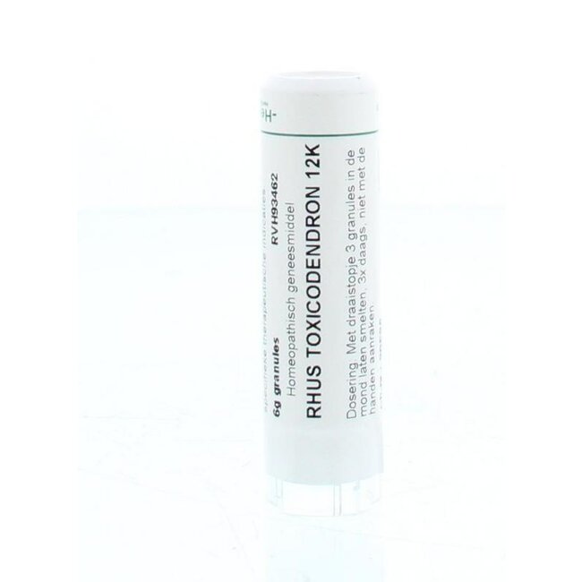 Rhus toxicodendron 12K 6 Gram
