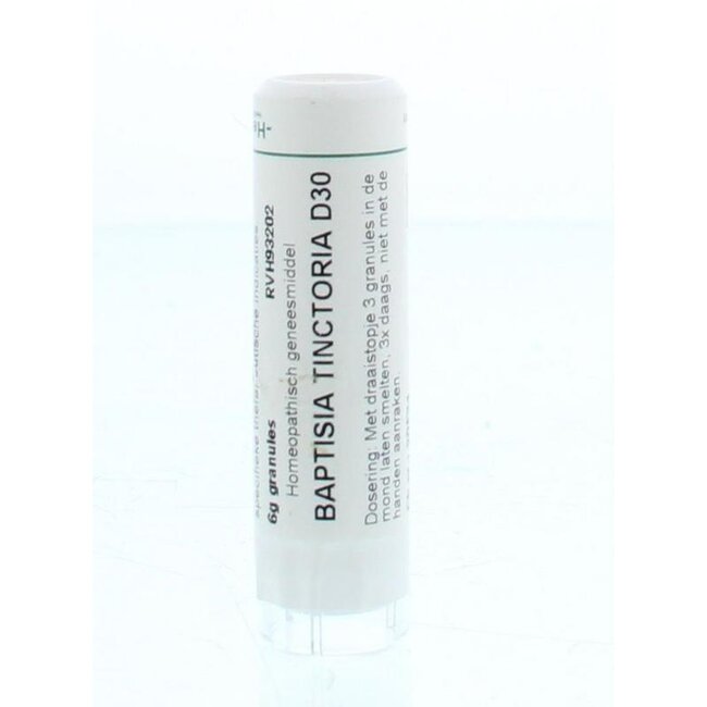 Baptisia tinctoria D30 6 Gram