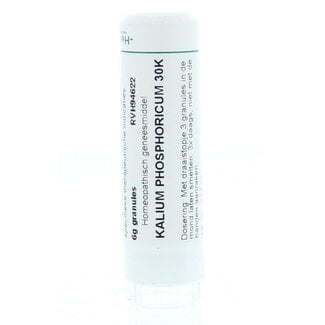 Homeoden Heel Kalium phosphoricum 30K 6 Gram