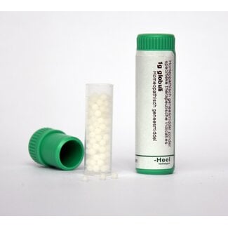 Homeoden Heel Hamamelis virginiana lm6 1 Gram