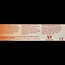 Gember keelpastille 60 Pastilles