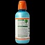 Icy mint 500 Milliliter