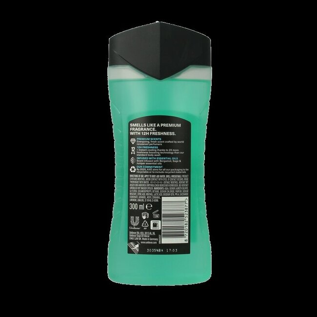 AXE Showergel aqua bergamot  300 Milliliter