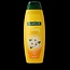 Shampoo elke dag 350 Milliliter