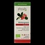 Physalis Wintergreen bio 10 ml