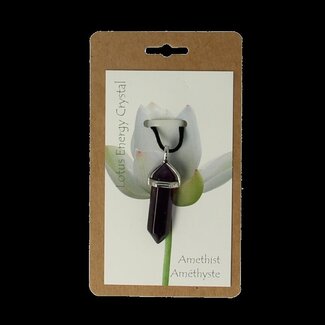 Steengoed Cristal d'énergie améthyste Steengoed 1 pièce