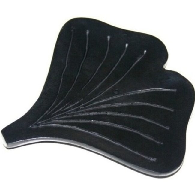 Wierookbrander ginko 1 Tabletten