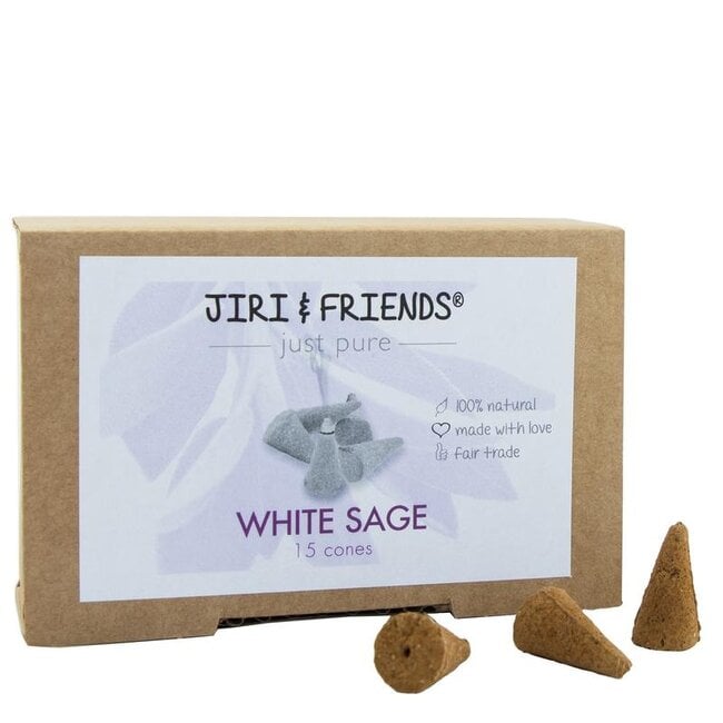 Cones witte salie 1 Stuks