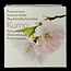 Wierookbrander kumo 1 Stuks