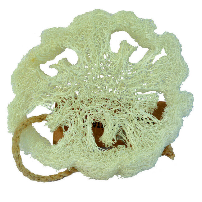 Loofah natuurspons plak 1 Stuks