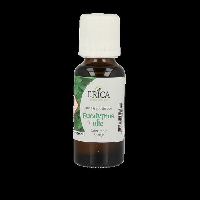 Etherische olie eucalyptus 25 Milliliter