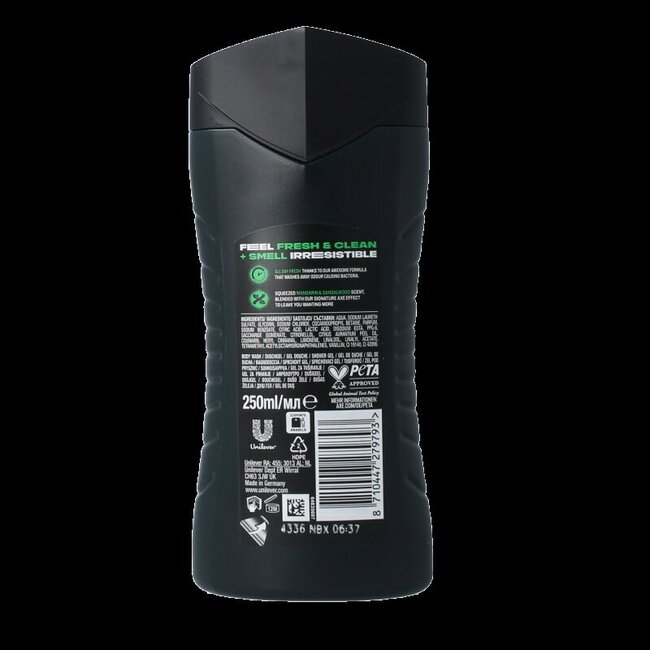 AXE Shower gel Africa 250 Milliliter