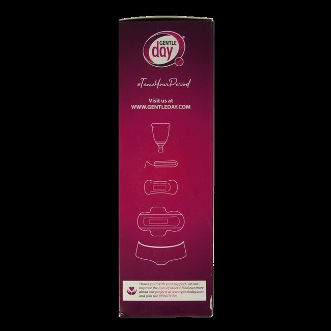 Gel lavant intime Gentle Day 250 ml