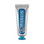 Toothpaste aquatic mint 25 Milliliter