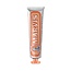 Toothpaste ginger mint 85 Milliliter