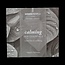 Calming skin essentials 90 Milliliter