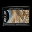 Permanent cool color 8-11 poederblond 1 Set