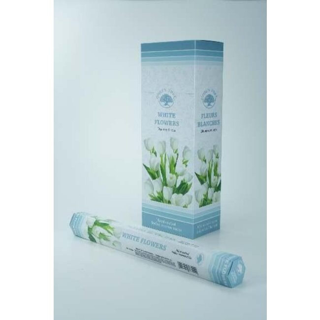 Green Tree Wierook white flowers 20 Stuks