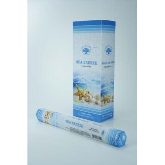 Green Tree Wierook sea breeze 20 Stuks
