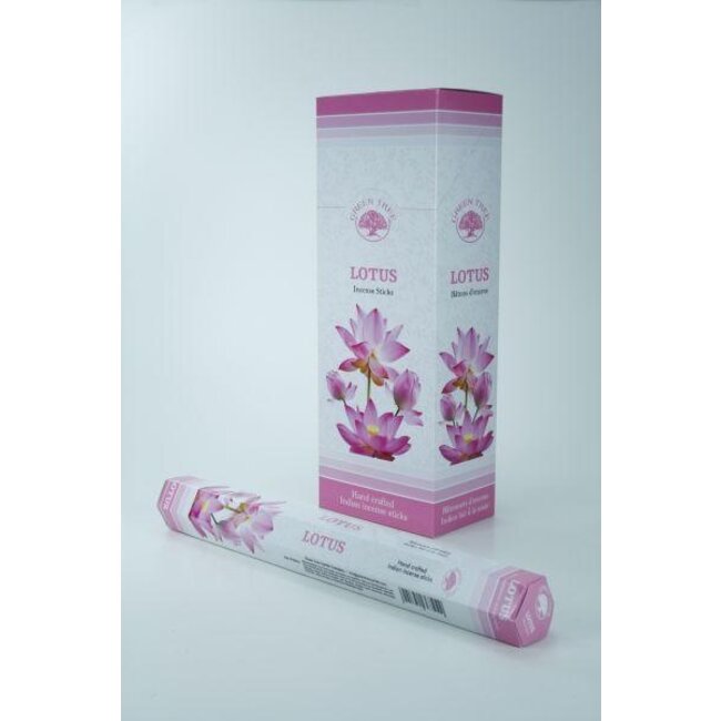 Wierook lotus 20 Stuks