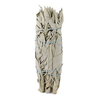 Ruben Robijn Saliebosje 14 cm 1 Stuks