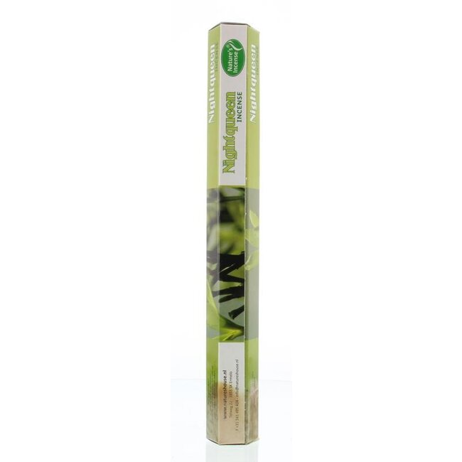 Wierook nightqueen 20 Stuks