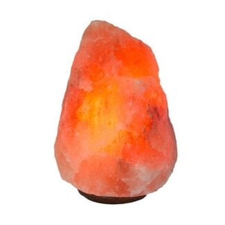 Alive Zoutlamp 1 Stuks