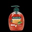 Palmolive Savon liquide Hygiène Plus avec pompe 300 ml