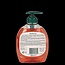 Vloeibaar zeep hygiene plus met pomp 300 Milliliter
