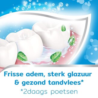 Aquafresh Tandpasta 3-voudige bescherming freshmint 75 Milliliter