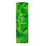 Colour boost warm blonde 200 Milliliter