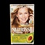 Garnier Nutrisse 73 Miel Doré - 1 Kit